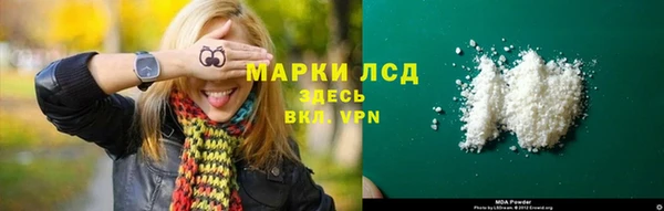 трава Новозыбков