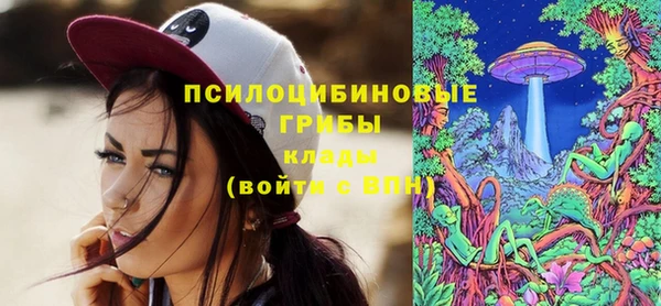 амфетамин Няндома