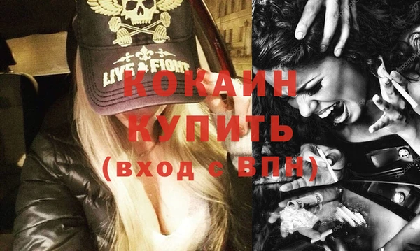 трава Новозыбков