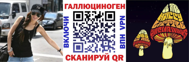 блэк спрут ONION  Сорск  Псилоцибиновые грибы Psilocybine cubensis 